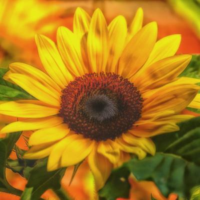 Blowing In The Wind Two - please listen first Blowing In The Wind Episode