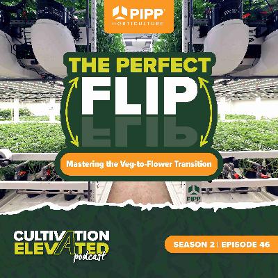 046: The Perfect Flip: Mastering the Veg-to-Flower Transition