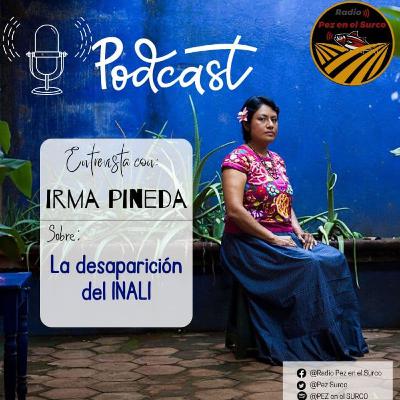 Irma Pineda sobre la desaparición del INALI