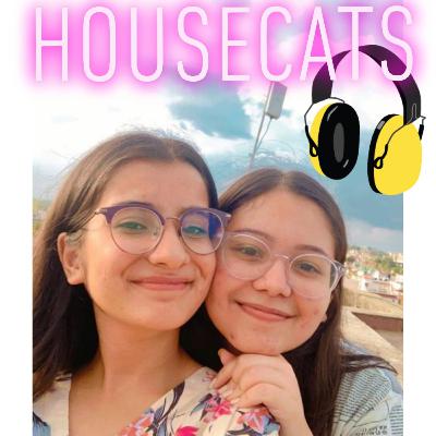 RED FLAG , GREEN FLAG.