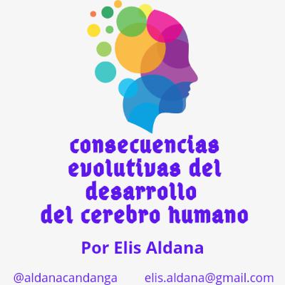 Consecuencias evolutivas del desarrollo del cerebro humano