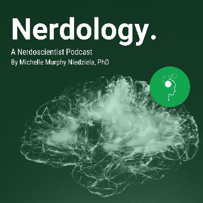 Nerdology: Is it implicit Nerdology: Is it implicit
