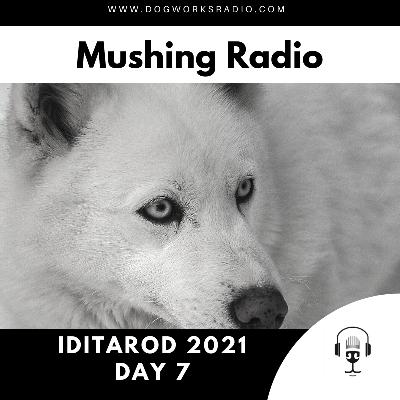 Iditarod 2021 Daily Coverage | Day 7