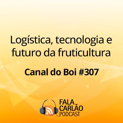 Logística, tecnologia e futuro da fruticultura | Canal do Boi #307
