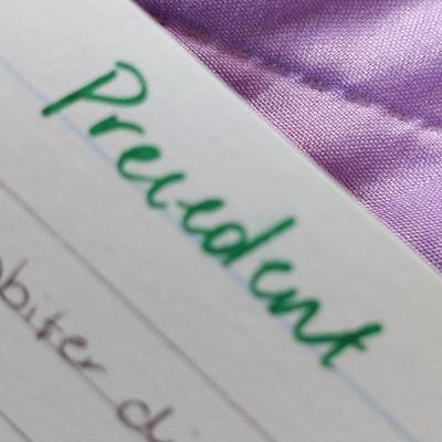CHAPTER 3 PRECEDENT