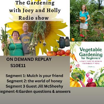 Episode 1552: S10E11 Mulch is your friend, the world of honey, Guest Jill McSheehy, Q&A The Gardening with Joey and Holly Radio Show Episode 1552: S10E11 Mulch is your friend, the world of honey, Guest Jill McSheehy, Q&A The Gardening with Joey and Holly Radio Show
