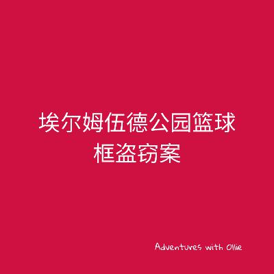 埃尔姆伍德公园篮球框盗窃案 (kids detective story)