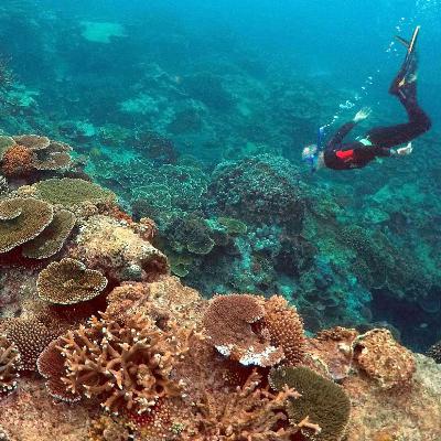 El ojo crítico - Patrimonio en riesgo, cultura que resiste - 15/11/25 El ojo crítico - Patrimonio en riesgo, cultura que resiste - 15/11/25