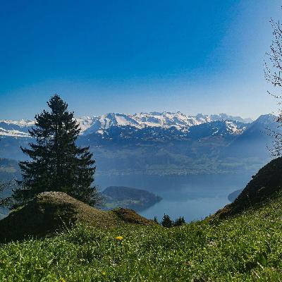 Willkomme! Willkomme!