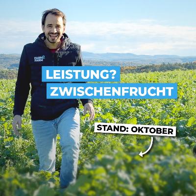 Was hat die Zwischenfrucht bis Oktober geleistet?