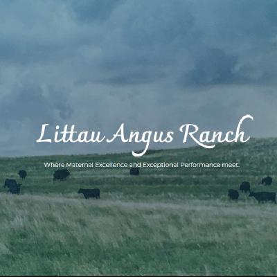 Littau Angus Ranch - Winner South Dakota