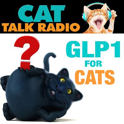 Ozempurrs for Cats? The Truth About GLP-1 Drugs and Feline Weight Loss