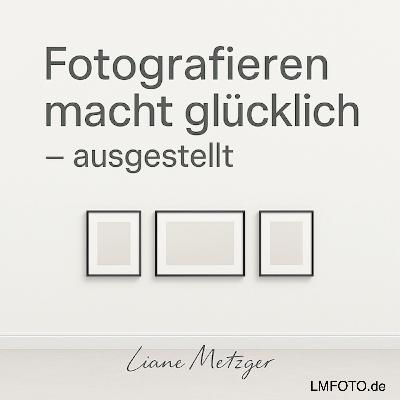#2 Ausgestellt: Eine abstrakte Reise an die Donau #2 Ausgestellt: Eine abstrakte Reise an die Donau