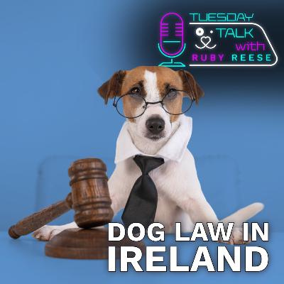 Dog Law in Ireland