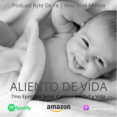 Ep. 7 Serie: Camino, Verdad y Vida