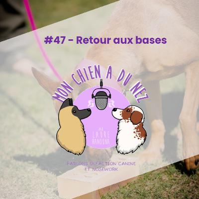 #47 - Retour aux bases