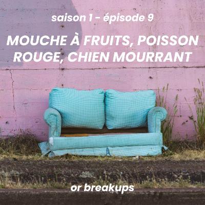 s1e9 — mouche à fruits, poisson rouge, chien mourant or breakups