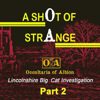 A Shot of Strange: Lincolnshire Big Cat Investigation, Part 2