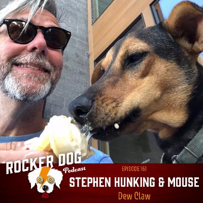 Stephen Hunking - Dew Claw