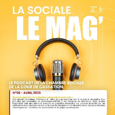 La Sociale le Mag’ | N°36 – avril 2025: Numéro spécial « Le préjudice nécessairement subi »