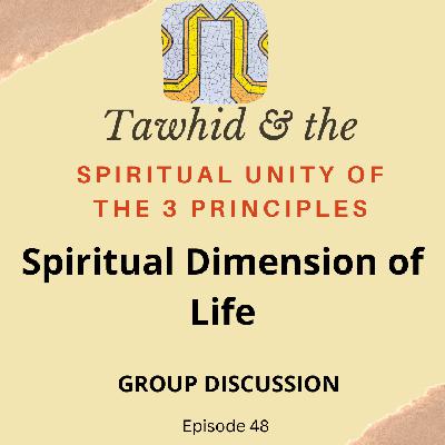Ep.48-Spiritual Dimension of Life