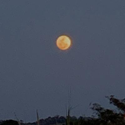 Até as Ruínas podemos amar neste lugar- Matilde Campilho