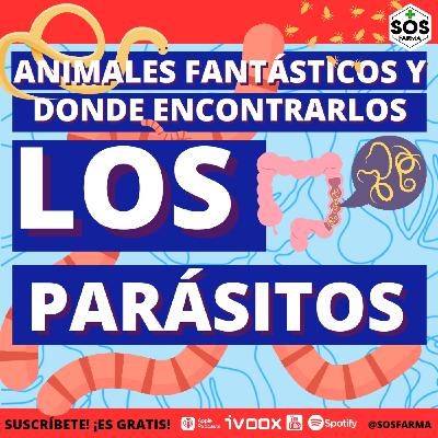 Parásitos intestinales: Animales fantásticos y donde encontrarlos II Parásitos intestinales: Animales fantásticos y donde encontrarlos II