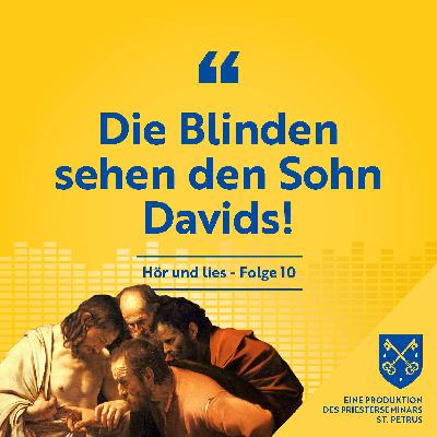 Die Blinden sehen den Sohn Davids! Die Blinden sehen den Sohn Davids!