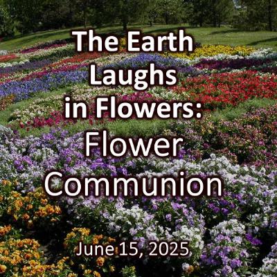 The Earth Laughs in Flowers.      June 15, 2024