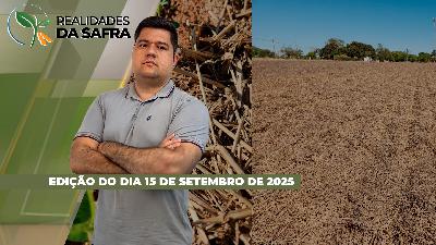 Plantio da soja pode começar ainda em setembro caso chuvas se confirmem em Primavera do Leste/MT