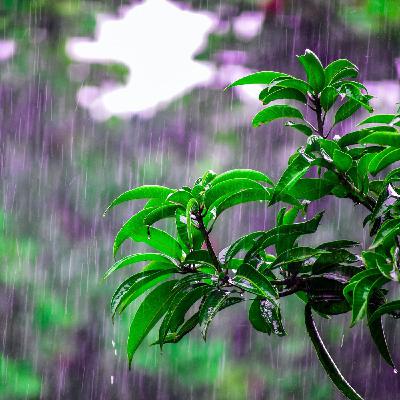 Sonidos relajantes para ayudar a dormir. Lluvia