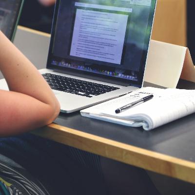 Buur & Wille - kan man lære noget på nettet?