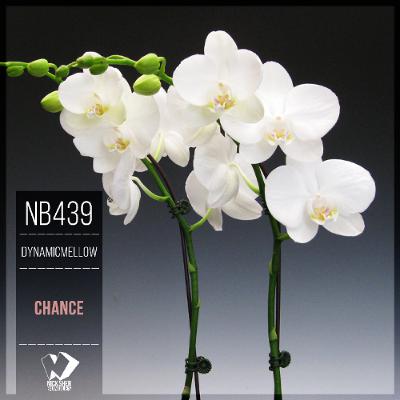 DynamicMellow - Chance (Original Mix) DynamicMellow - Chance (Original Mix)