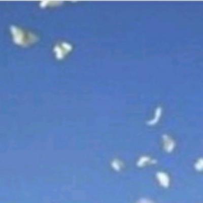 Confinamiento. Cuento de María Coronado (escritora española).