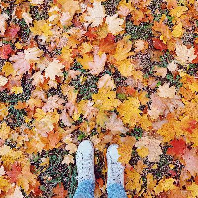 Твої світи, твої вірші Твої світи, твої вірші