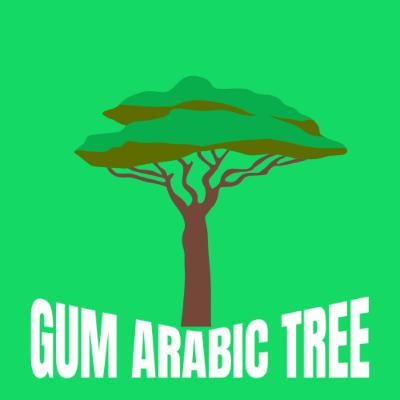 The Gum Arabic Tree | Green Tales The Gum Arabic Tree | Green Tales