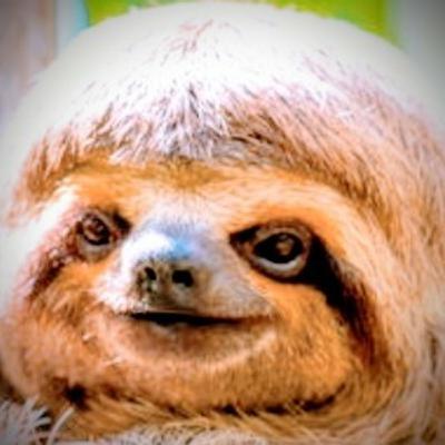 SLOTH SLOTH
