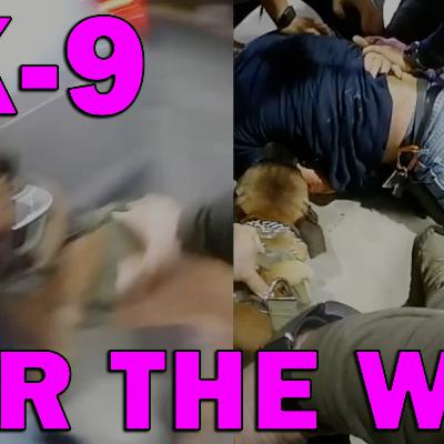 K-9 Takes Suspected Shooter Down Just In Time For The Brigade To Arrest! LEO Round Table S10E243