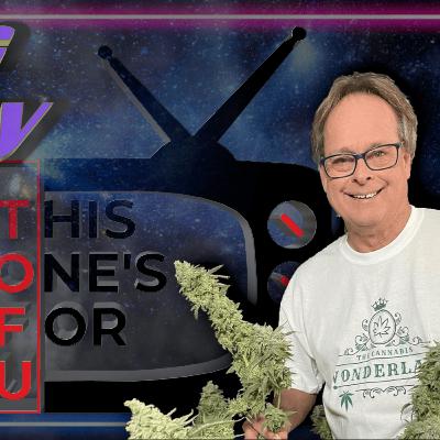 MARC EMERY:Canada, Cannabis, Wonderland and What's Next?