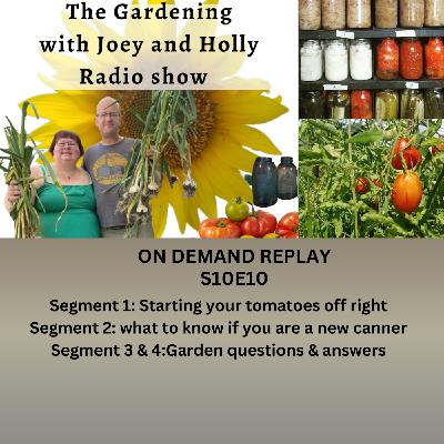 Episode 1551: S10E10 Starting your tomatoes off right, what to know if you are a new canner , Garden Q&A - The Gardening with Joey and Holly Radio Show Radio