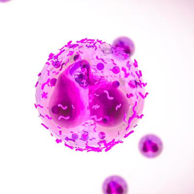 Neutropenia y alimentación Neutropenia y alimentación
