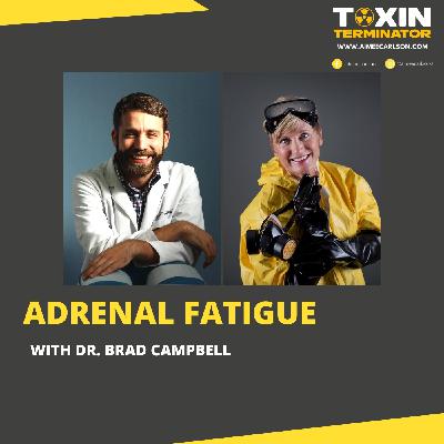 Adrenal Fatigue with Dr. Brad Campbell Adrenal Fatigue with Dr. Brad Campbell