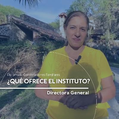 ¿Qué es lo que ofrece el Instituto Virtual Metatron?