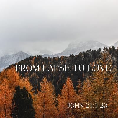 From Lapse To Love