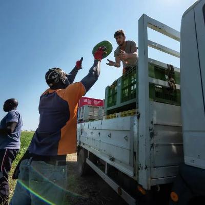 Itália “não funciona sem imigrantes” e o Governo de extrema-direita de Meloni “devia ter percebido isto há algum tempo”