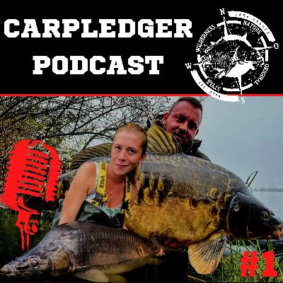 Karpfenangeln - UNVERZERRTE REALITÄT - CarpLedger Podcast | natur, see, fluss, angeln (2023)