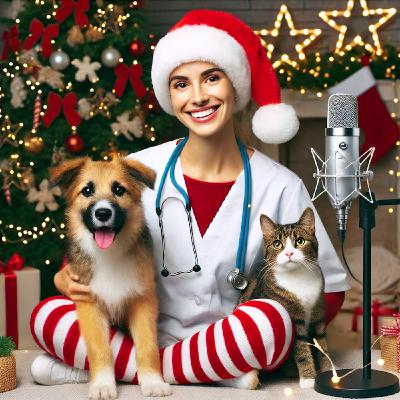 Le podcast de Noël !