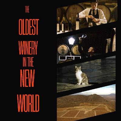 Episode 279: The oldest winery in the New World: Casa Madero