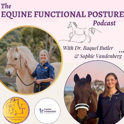 Episode 59: Joint Injections - Good, Bad or Necessary? Episode 59: Joint Injections - Good, Bad or Necessary?