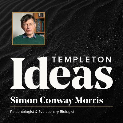 Simon Conway Morris (Convergent Intelligence) Simon Conway Morris (Convergent Intelligence)